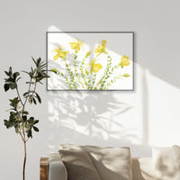 PB-120W080