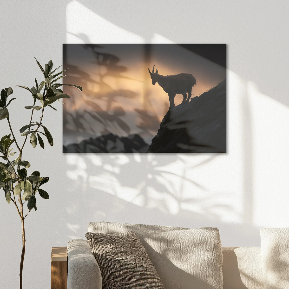 AC-075W050