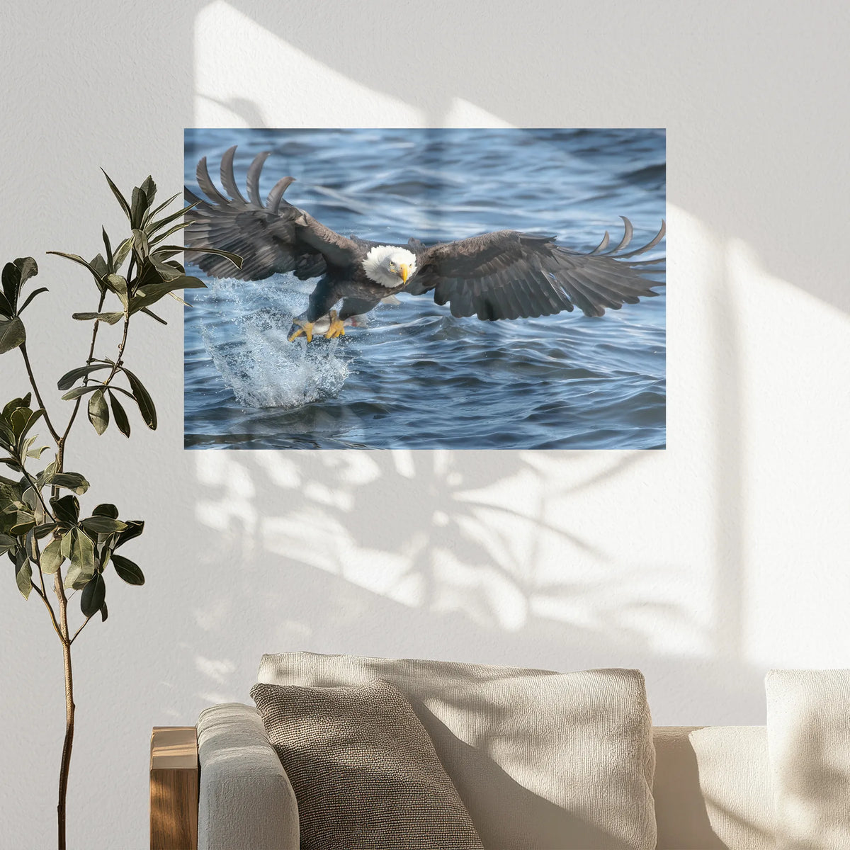 PO-075W050