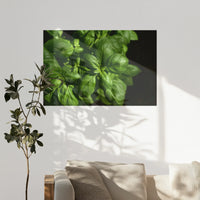 PO-120W080