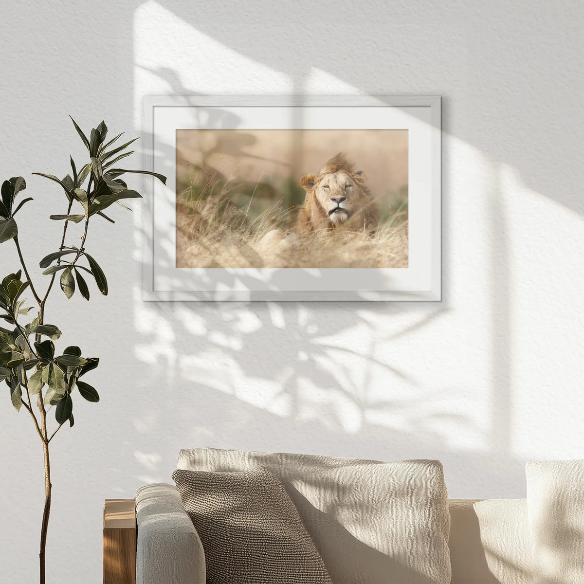 PWP060W040