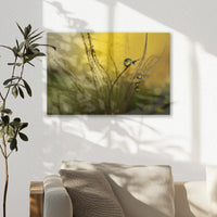 AC-030W020