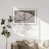 PSP120W080