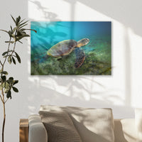 AL-030W020
