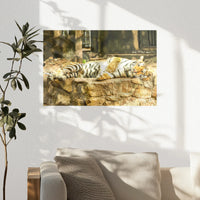 PO-030W020