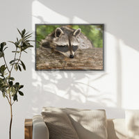 PK-093W062