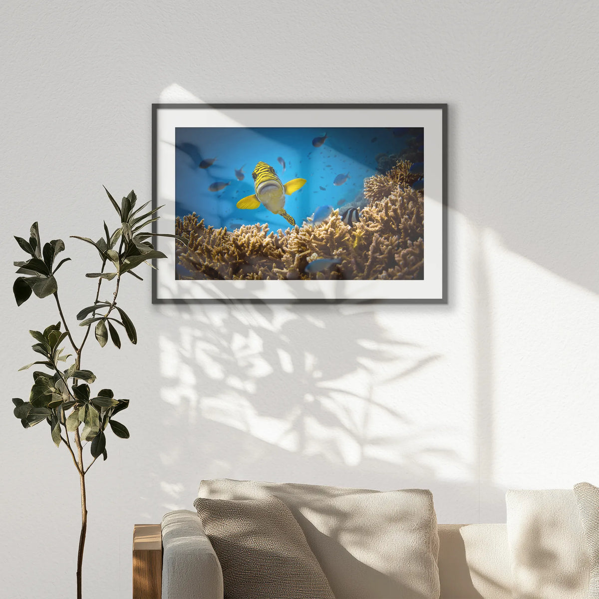 PKP100W070