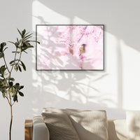 PB-093W062