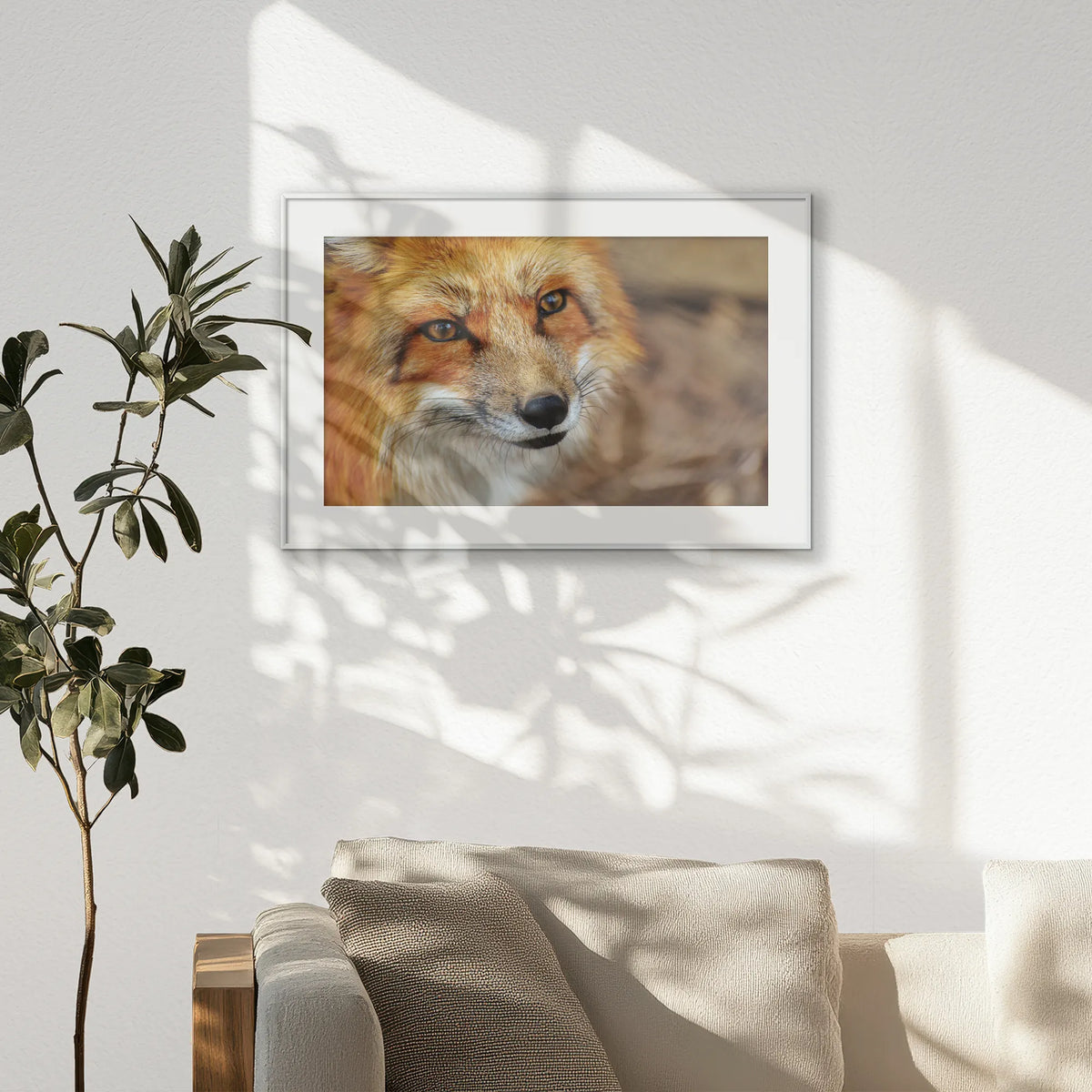 PSP093W062