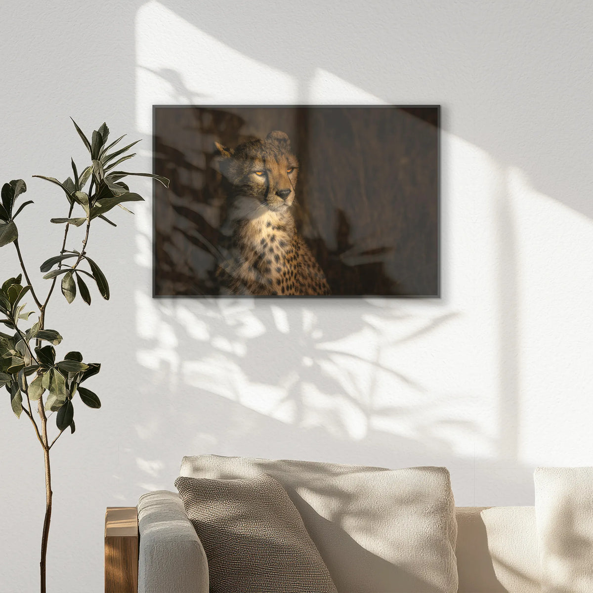 PB-093W062
