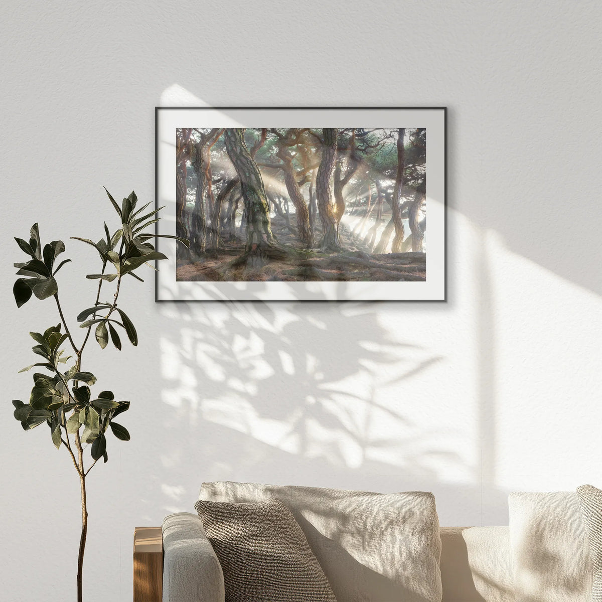 PBP120W080