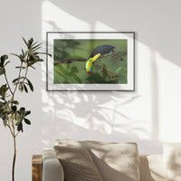PBP093W062