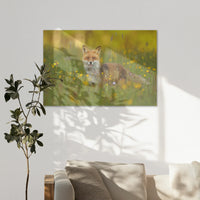 AL-120W080