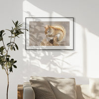 PBP093W062