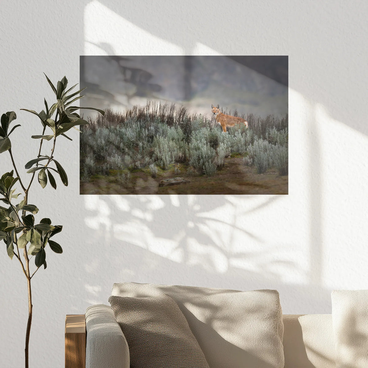 PO-060W040