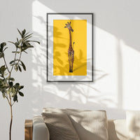 PBP040W060