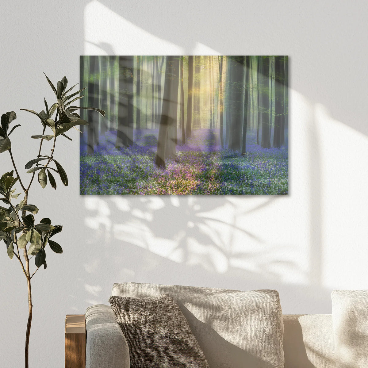AC-075W050