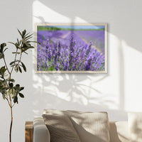 PN-060W040