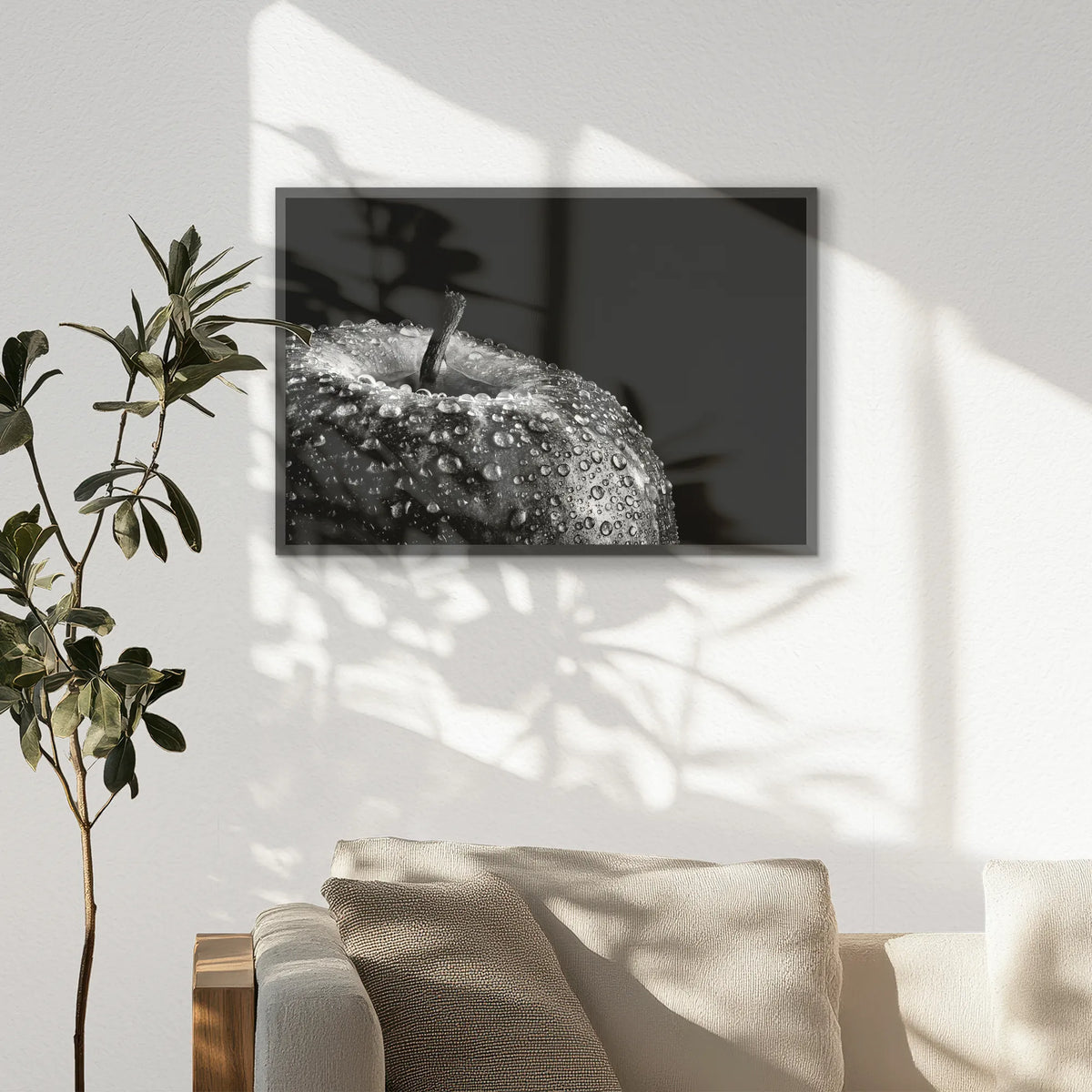 PK-093W062