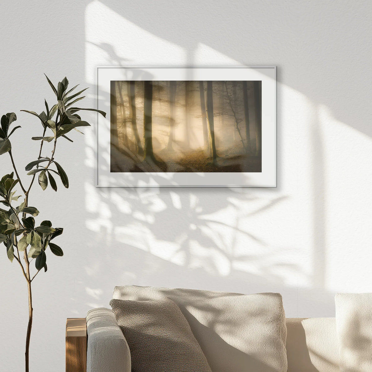 PSP093W062