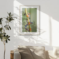 PNP062W093