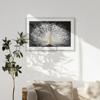 PSP100W070