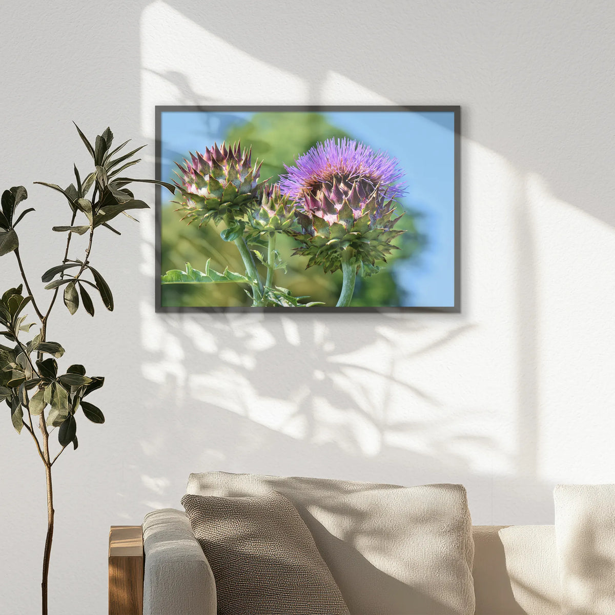 PK-093W062