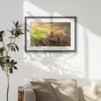 PKP060W040