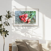 PNP093W062