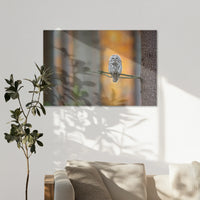 AC-120W080