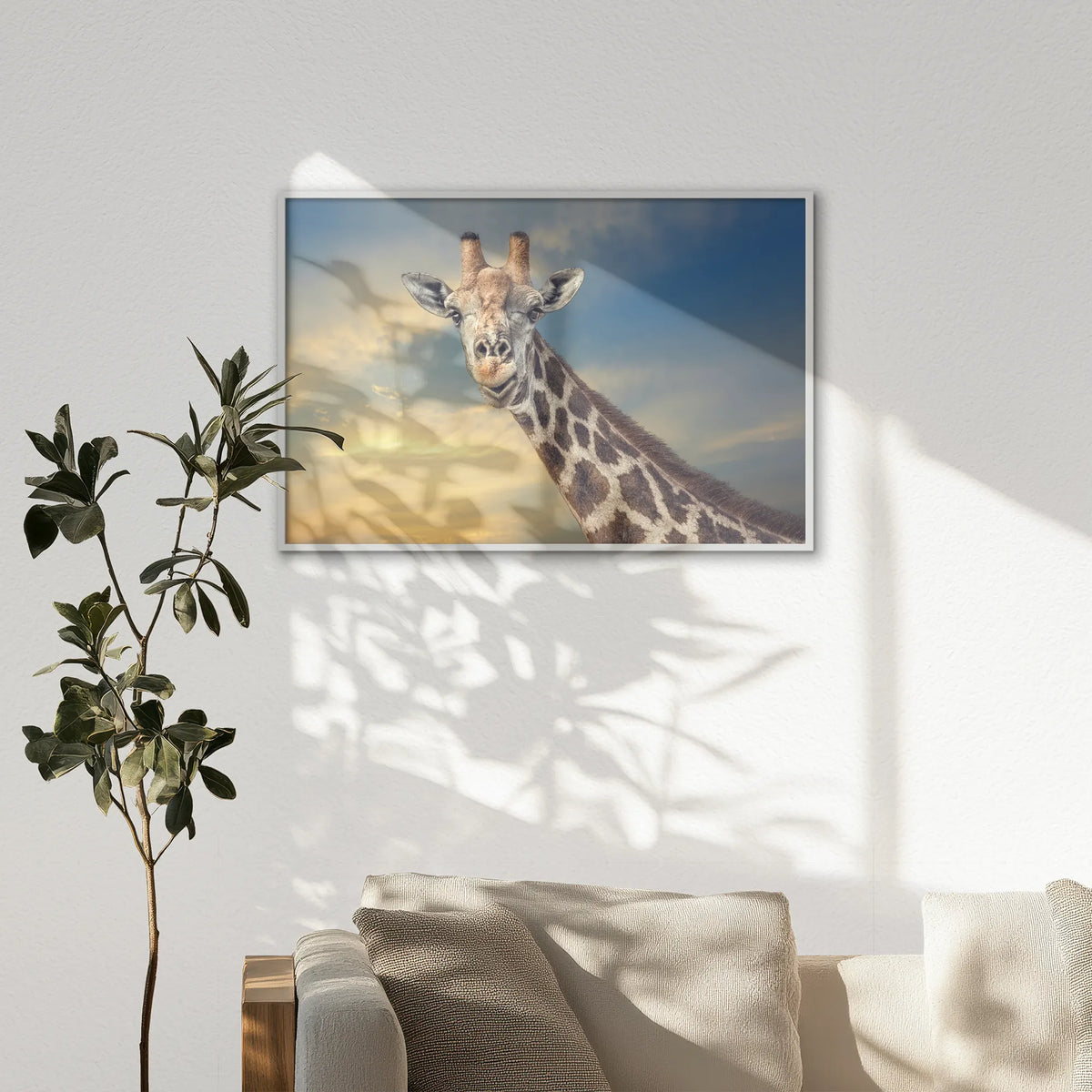 LWW120W080