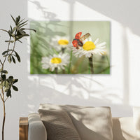 AC-045W030