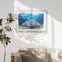 PNP093W062