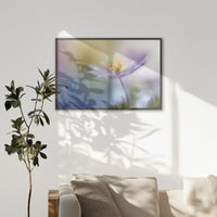 LWN120W080