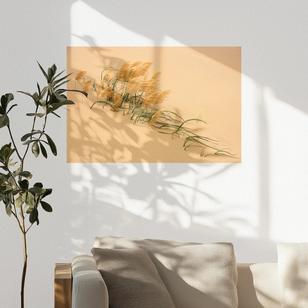 PO-090W060
