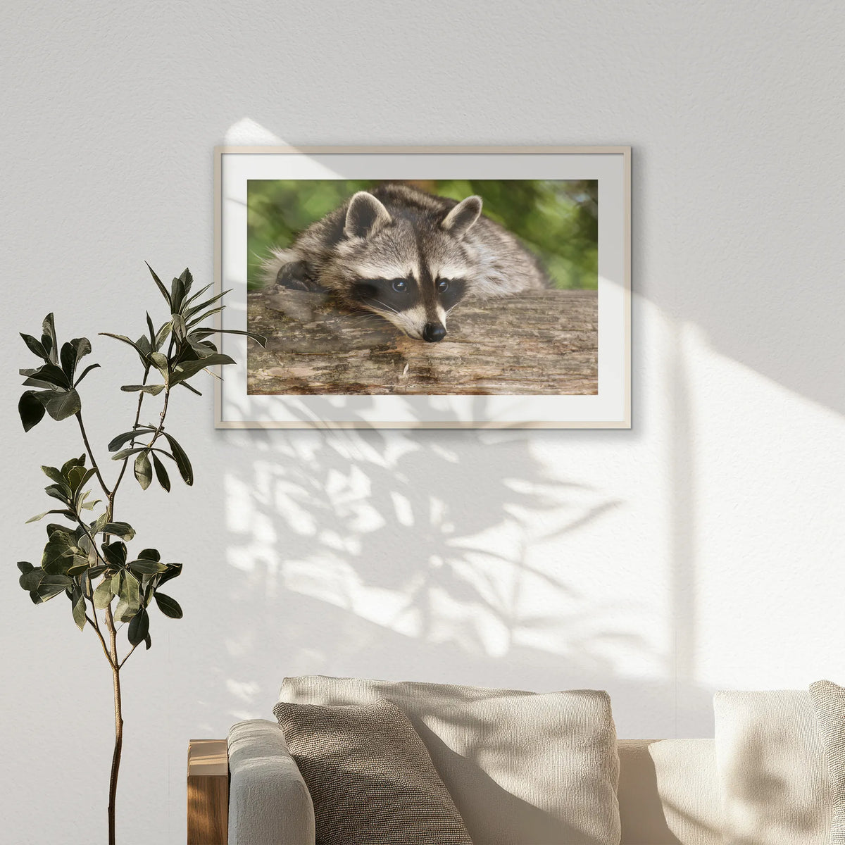 PNP100W070