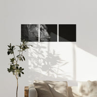 AC-240S080