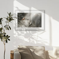 PWP093W062