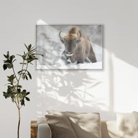 PS-100W070