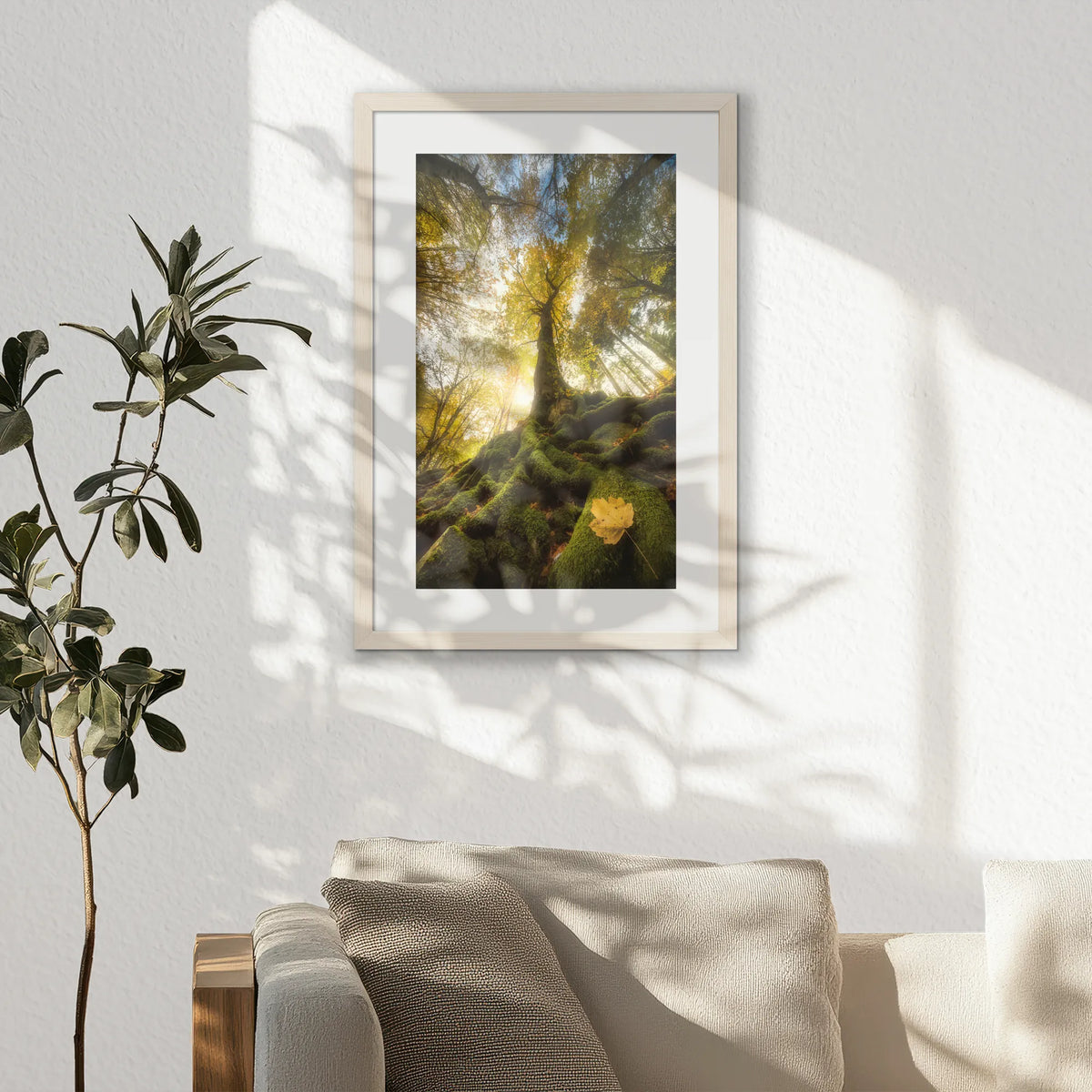 PNP040W060