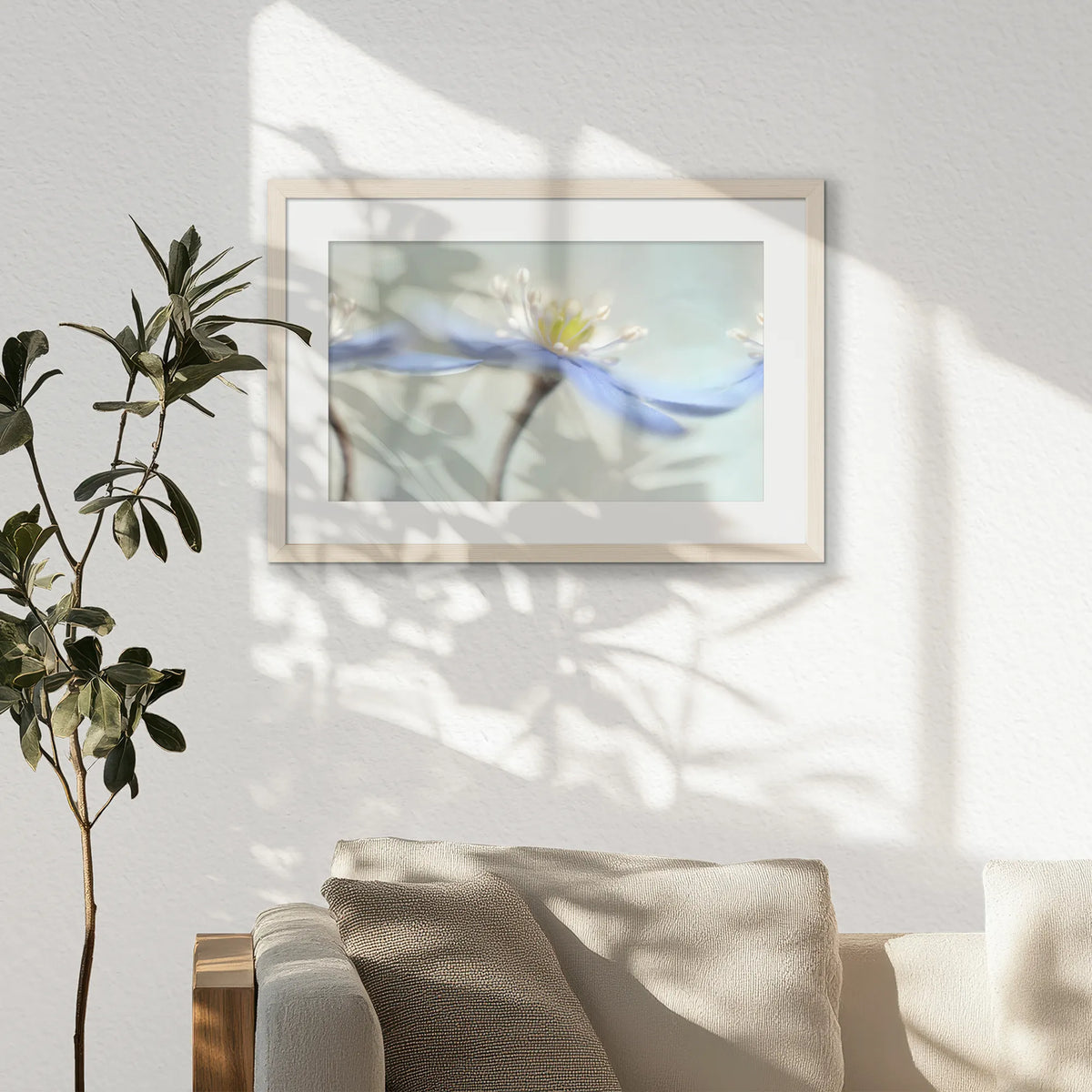 PNP060W040