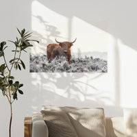PO-075W050