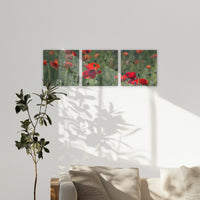 LW-210S070