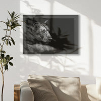 LWB030W020