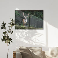LWN120W080
