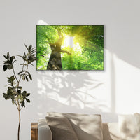 PB-120W080