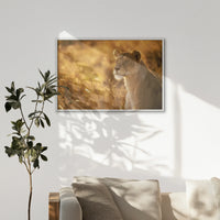 LWW120W080