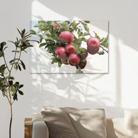 AC-075W050
