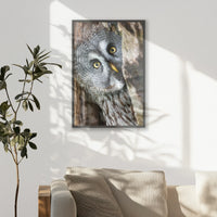 PK-062W093