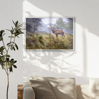 PW-093W062